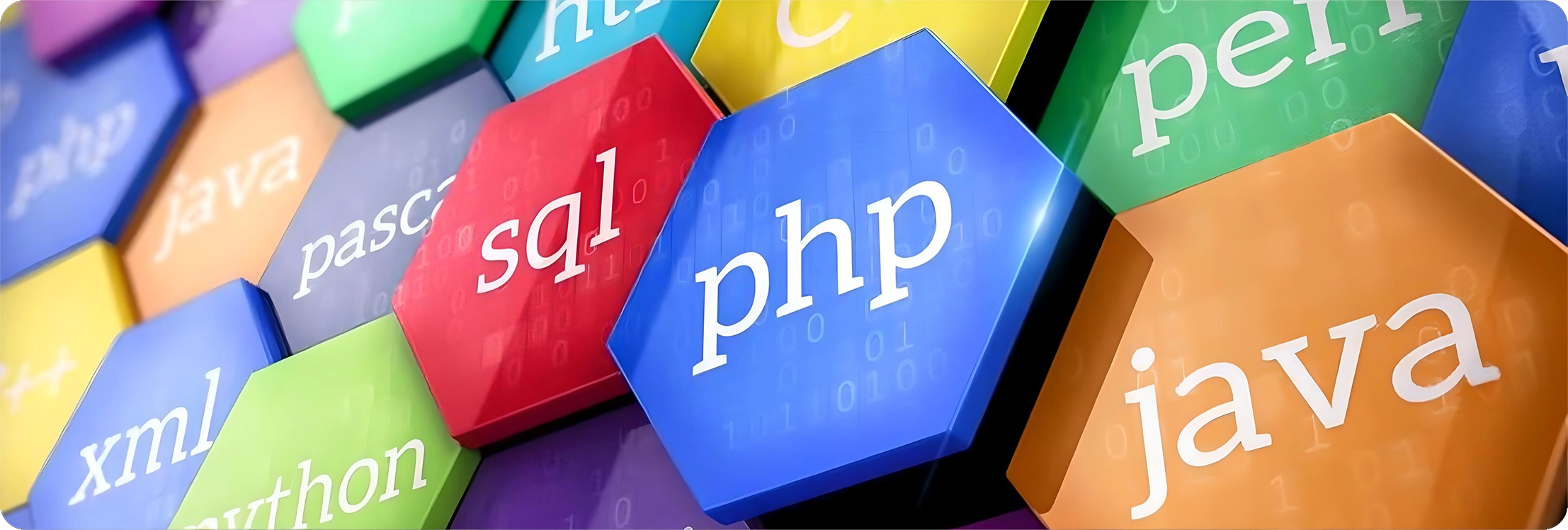 Mastering Website Development: Key Trends and Best Practices